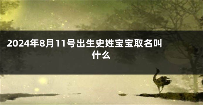2024年8月11号出生史姓宝宝取名叫什么