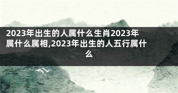 2023年出生的人属什么生肖2023年属什么属相,2023年出生的人五行属什么
