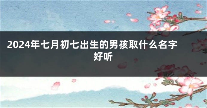 2024年七月初七出生的男孩取什么名字好听