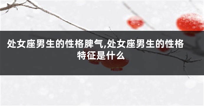 处女座男生的性格脾气,处女座男生的性格特征是什么