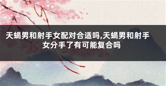 天蝎男和射手女配对合适吗,天蝎男和射手女分手了有可能复合吗