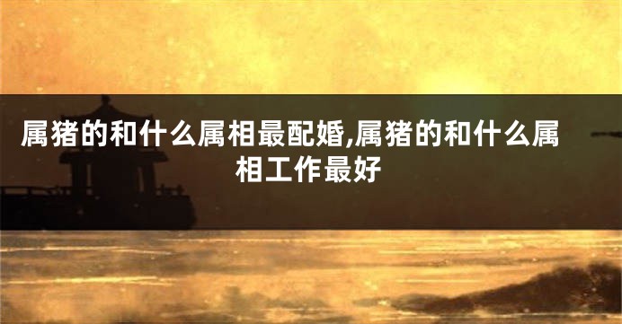 属猪的和什么属相最配婚,属猪的和什么属相工作最好