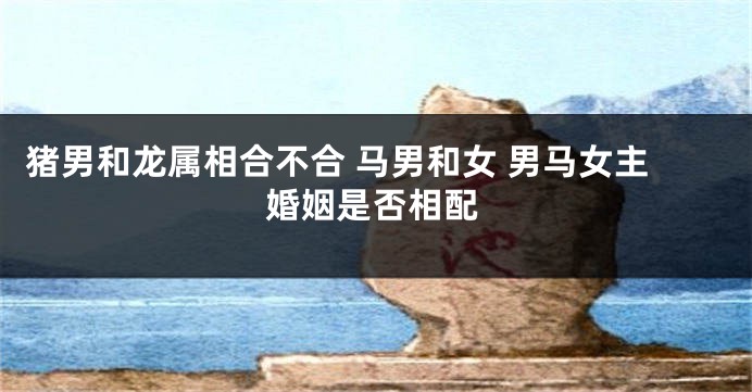猪男和龙属相合不合 马男和女 男马女主婚姻是否相配