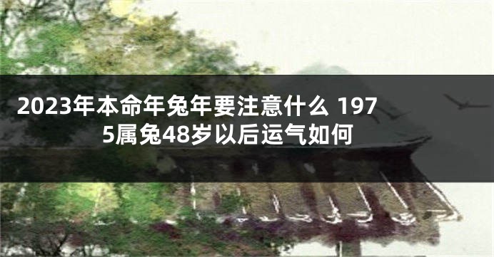 2023年本命年兔年要注意什么 1975属兔48岁以后运气如何