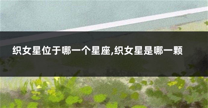 织女星位于哪一个星座,织女星是哪一颗