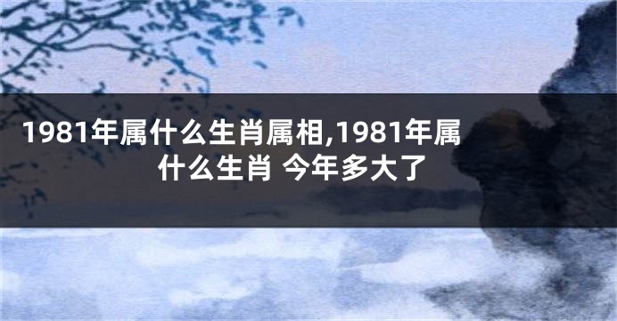 1981年属什么生肖属相,1981年属什么生肖 今年多大了