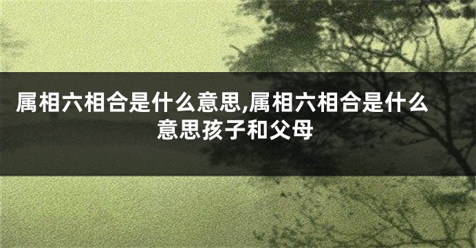 属相六相合是什么意思,属相六相合是什么意思孩子和父母