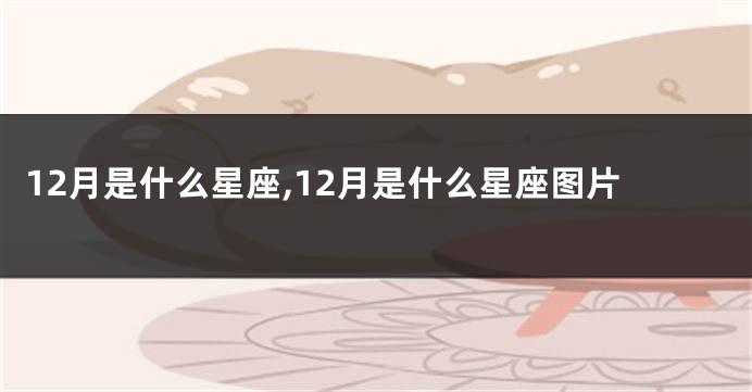 12月是什么星座,12月是什么星座图片