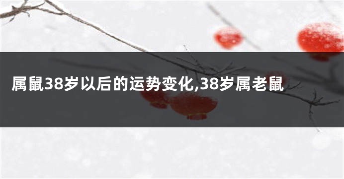 属鼠38岁以后的运势变化,38岁属老鼠