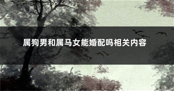 属狗男和属马女能婚配吗相关内容