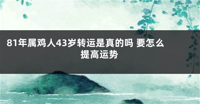 81年属鸡人43岁转运是真的吗 要怎么提高运势
