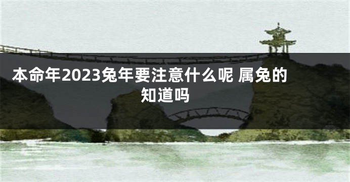 本命年2023兔年要注意什么呢 属兔的知道吗 