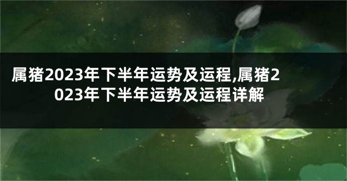 属猪2023年下半年运势及运程,属猪2023年下半年运势及运程详解