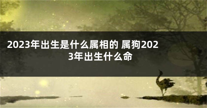 2023年出生是什么属相的 属狗2023年出生什么命